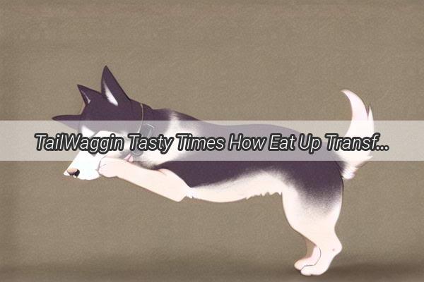 TailWaggin Tasty Times How Eat Up Transforms Mealtimes for Mans Best Friend